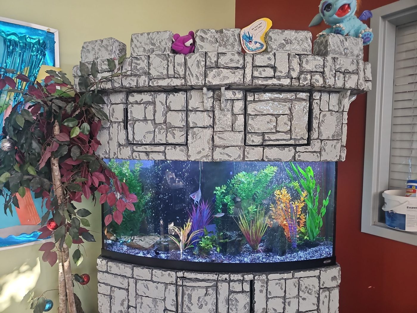 Freshwater planted aquarium