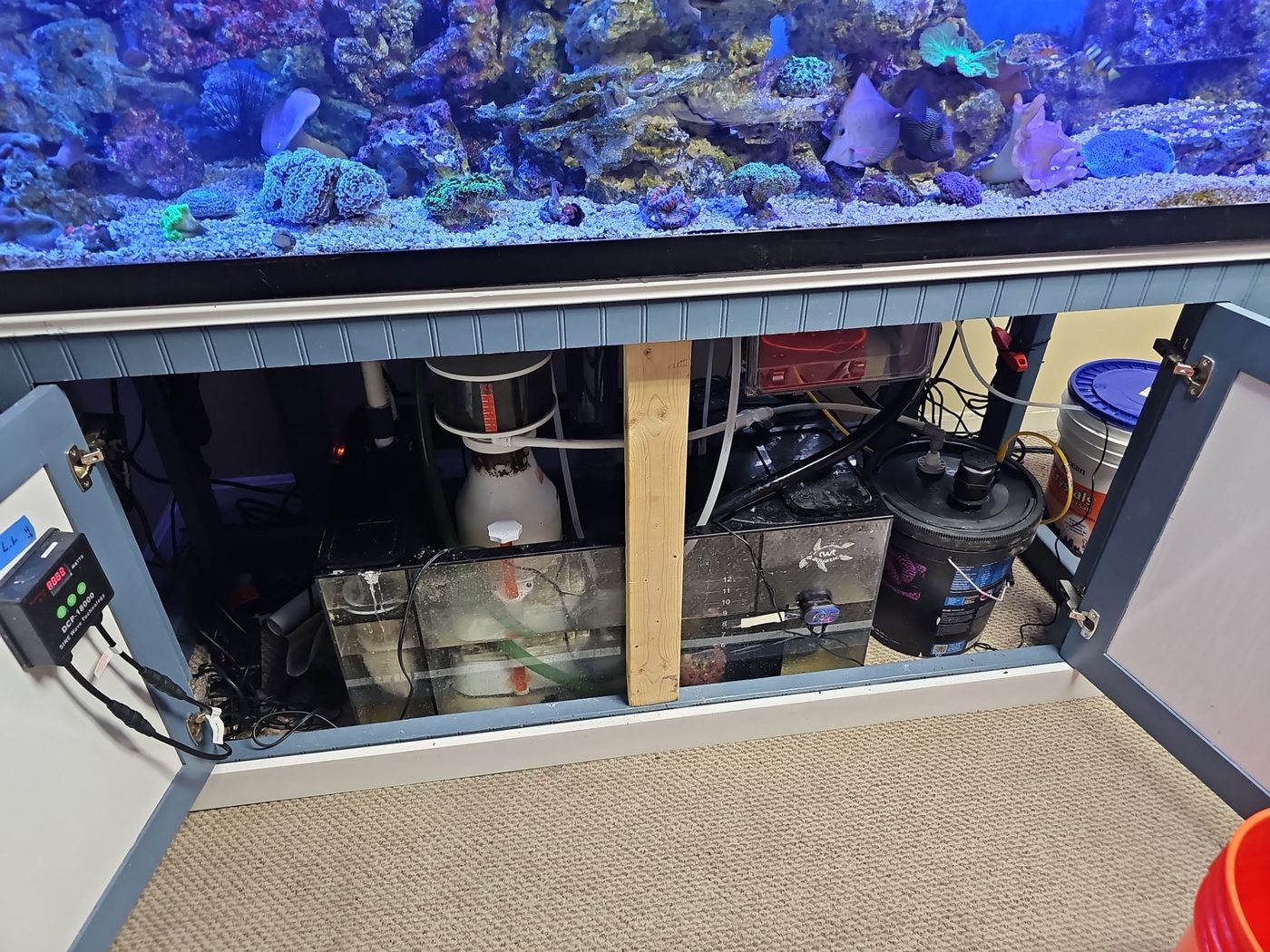 Custom sump filtration build