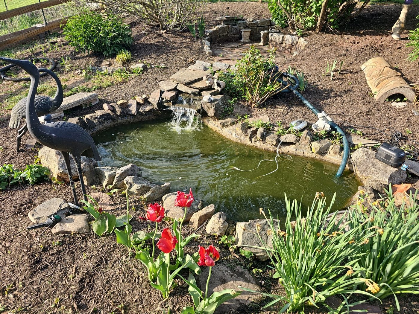 Pond with stone edge and plantings